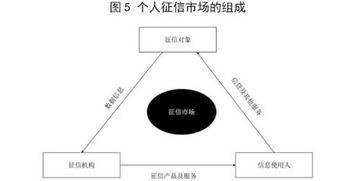起底個人征信軟件開發(fā) 技術賦能與合規(guī)挑戰(zhàn)
