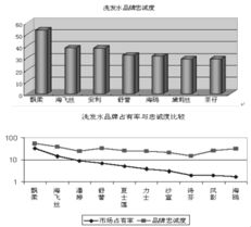 飄影洗發(fā)水營(yíng)銷(xiāo)策劃案themarketingplanofpuyenshampoo 吳德望 第5頁(yè) 市場(chǎng)營(yíng)銷(xiāo) 品牌策劃 市場(chǎng)營(yíng)銷(xiāo) 管理文庫(kù)